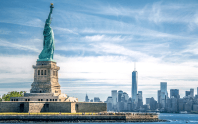 Looking For A Webmaster In New York City?