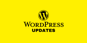 How Important Are WordPress Updates?